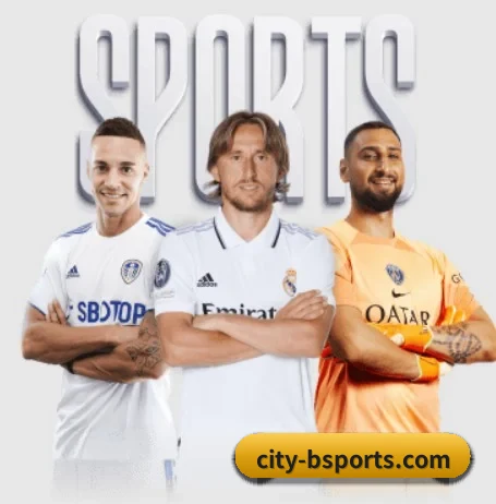 city-bsports.com的方向